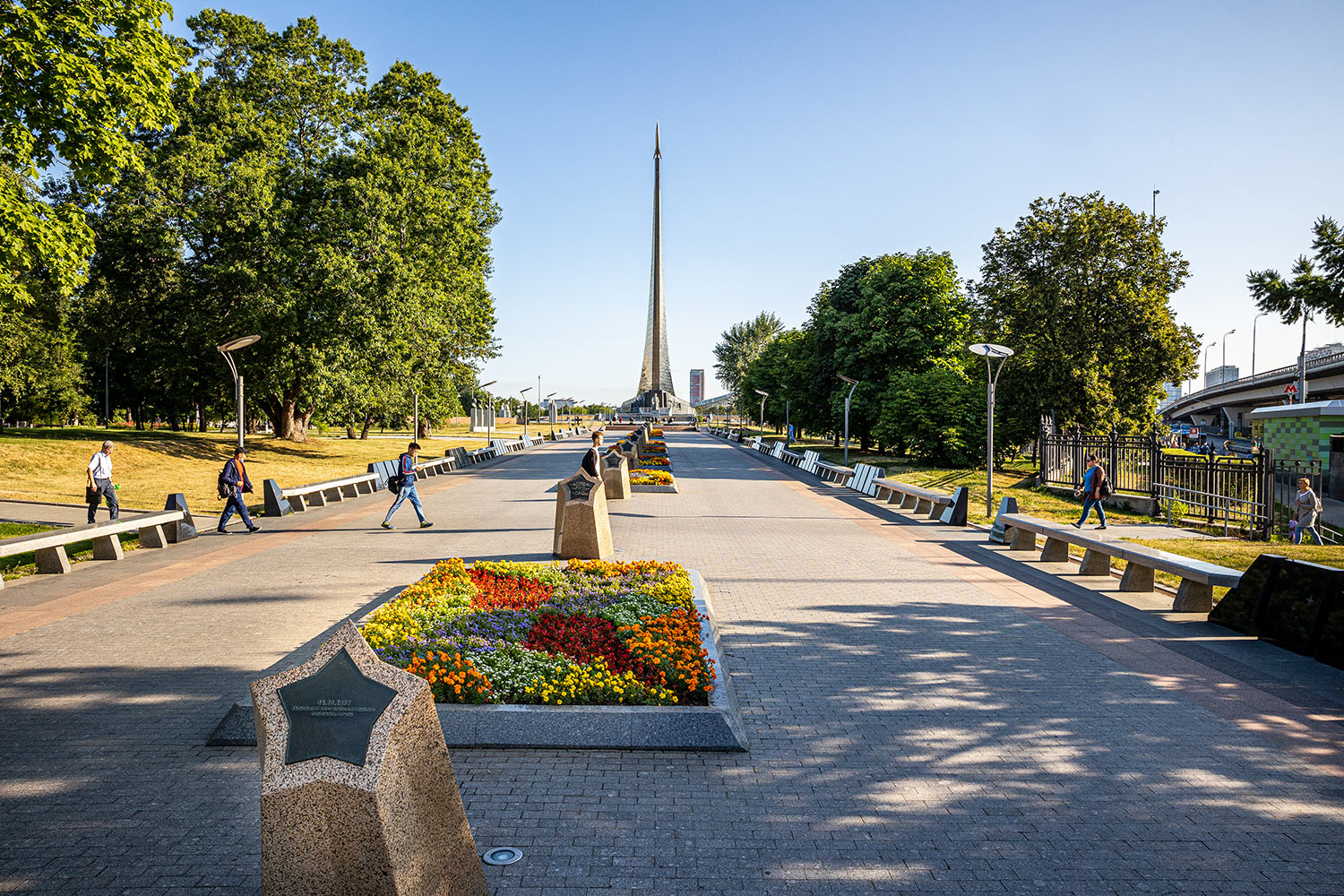 Portfolio Image
