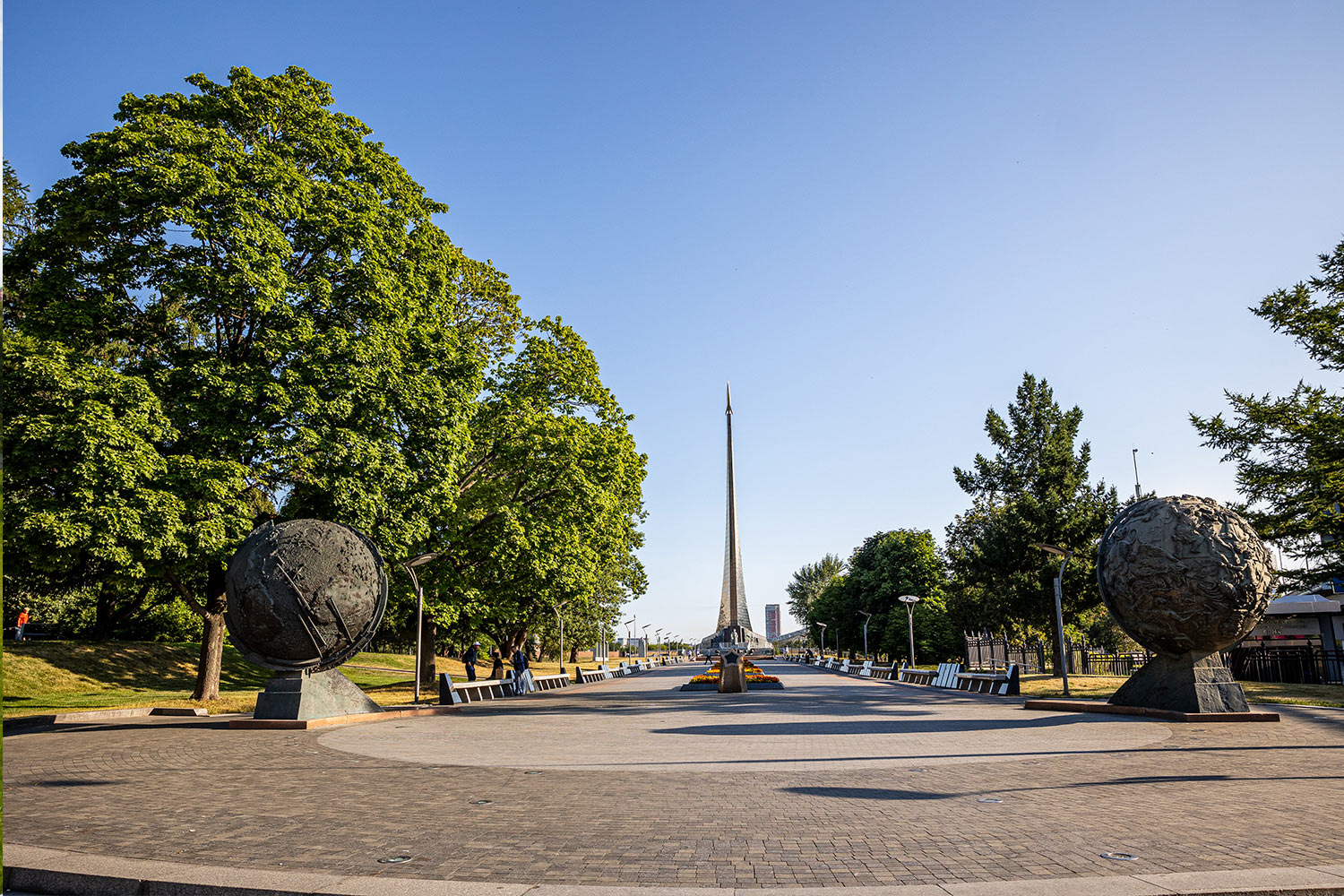 Portfolio Image