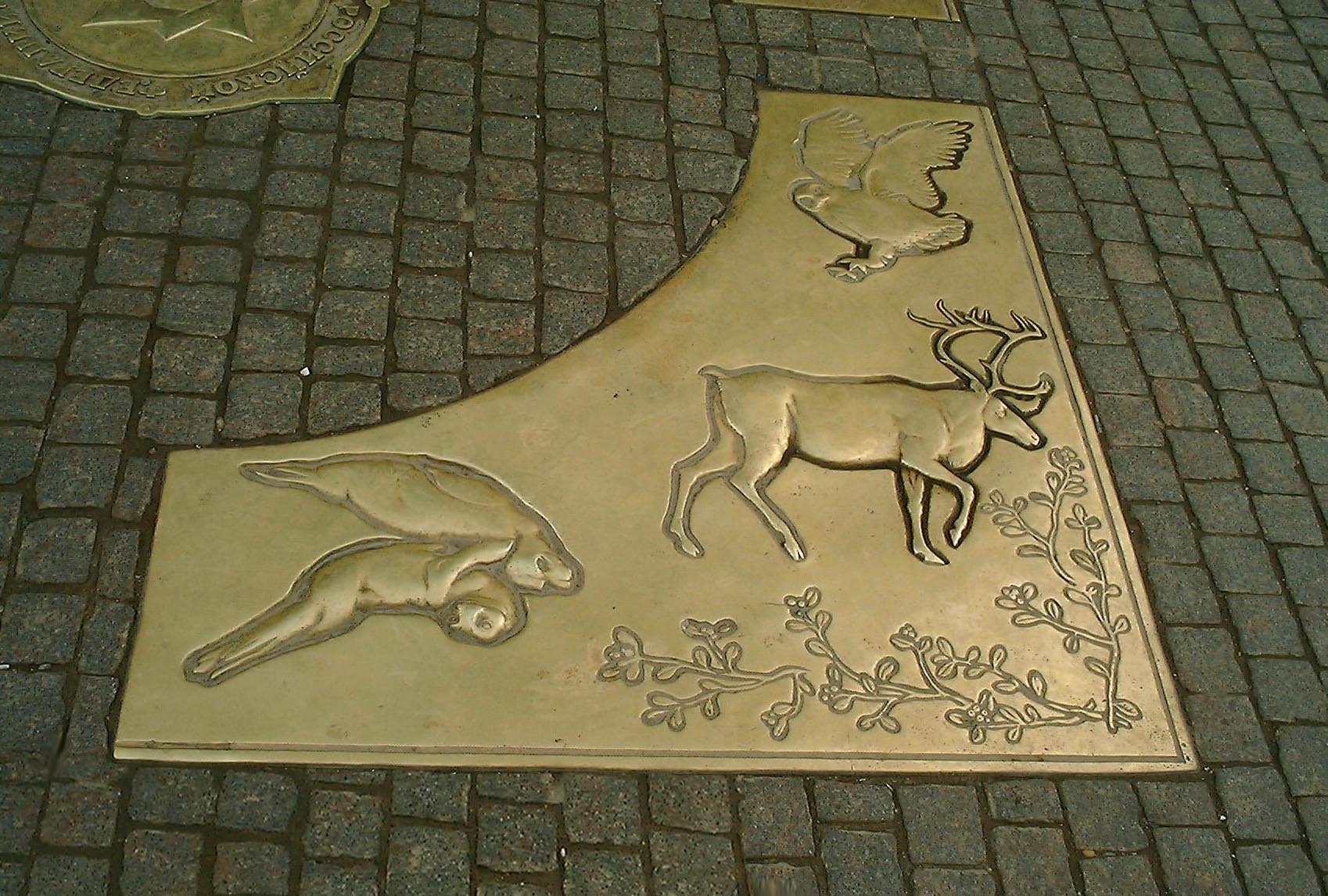 Portfolio Image