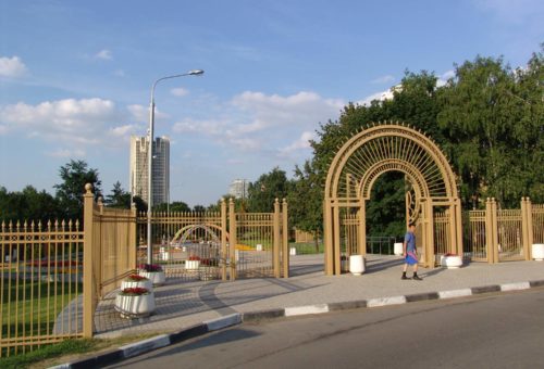 Portfolio Image