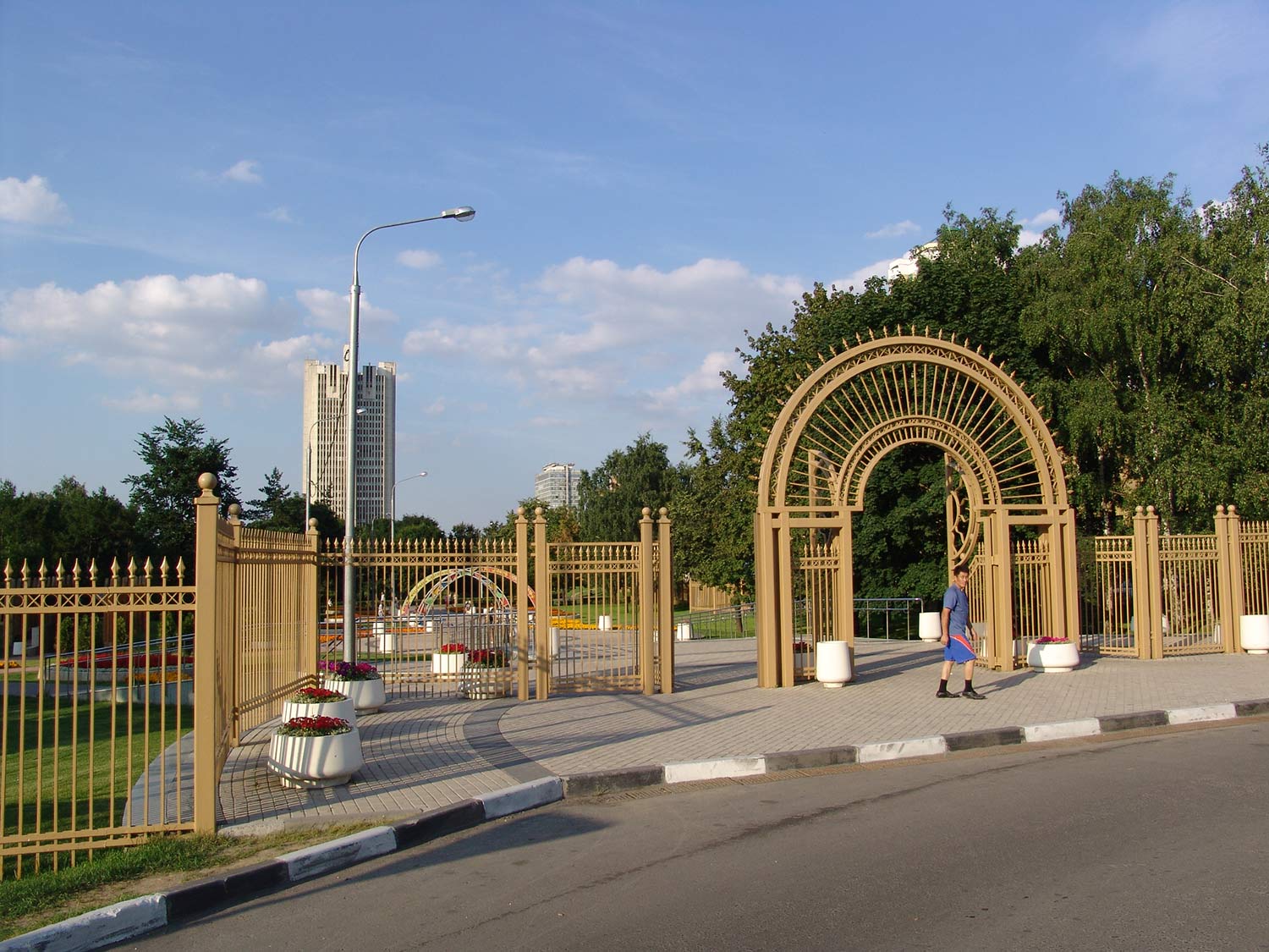 Portfolio Image
