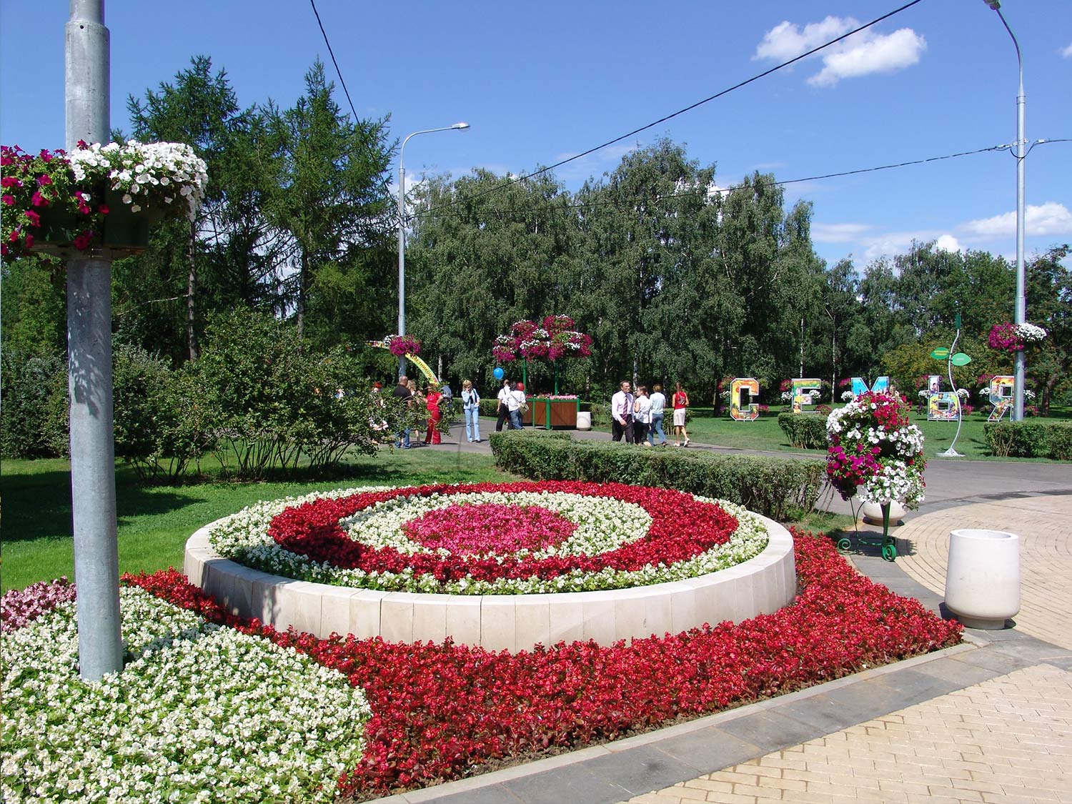 Portfolio Image
