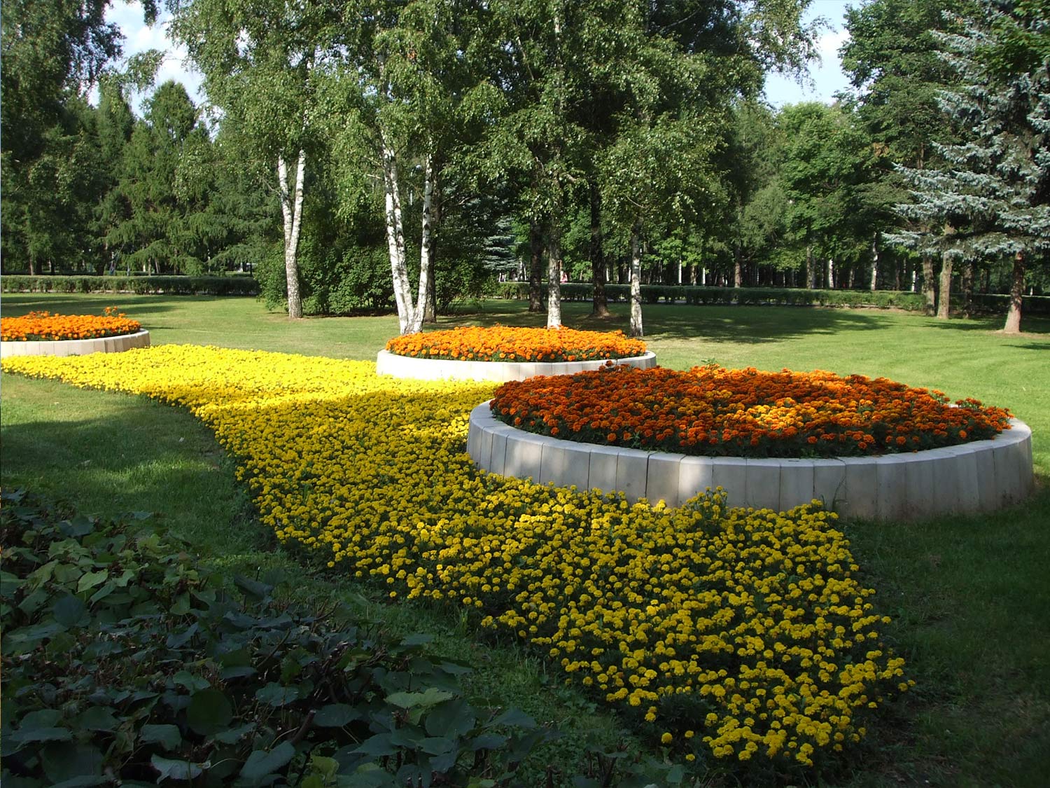 Portfolio Image