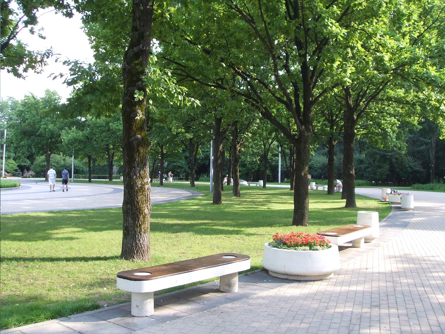 Portfolio Image