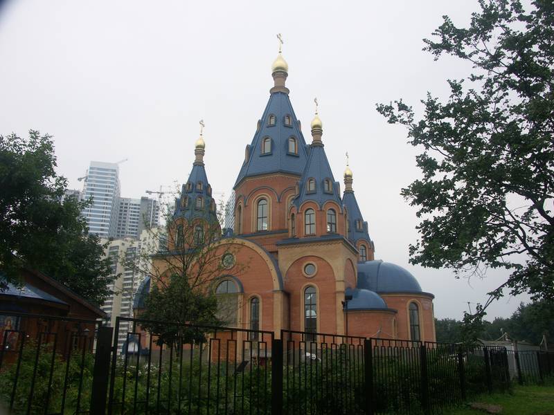 Portfolio Image