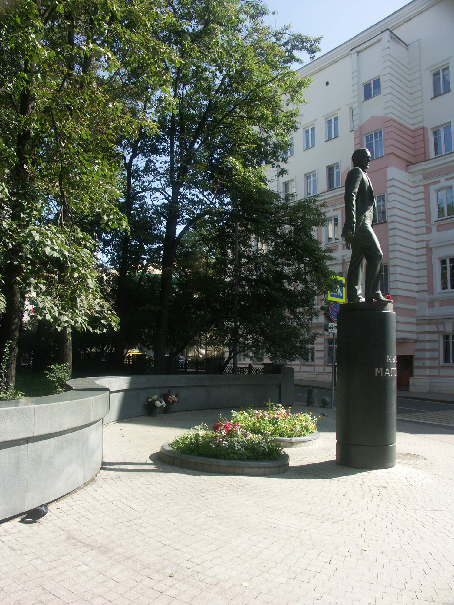 Portfolio Image