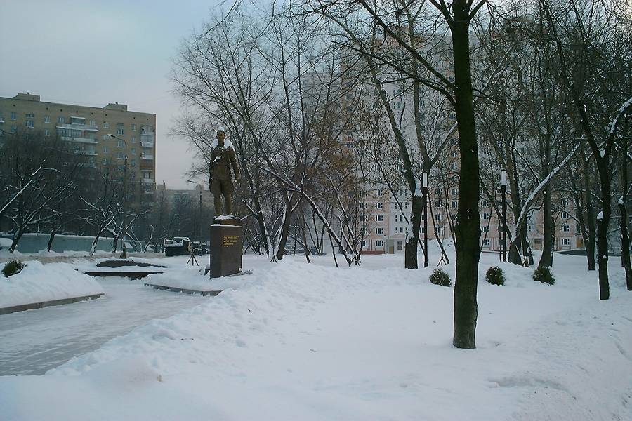 Portfolio Image