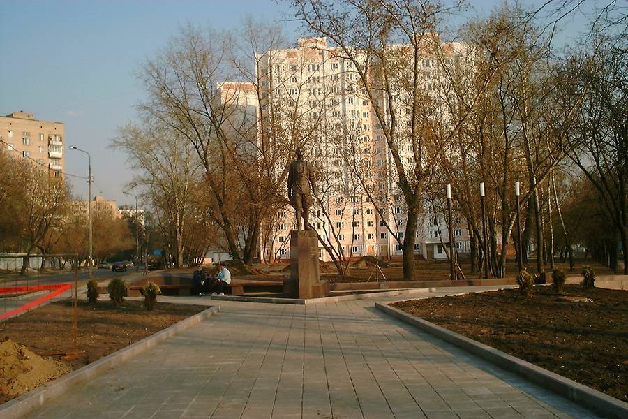 Portfolio Image