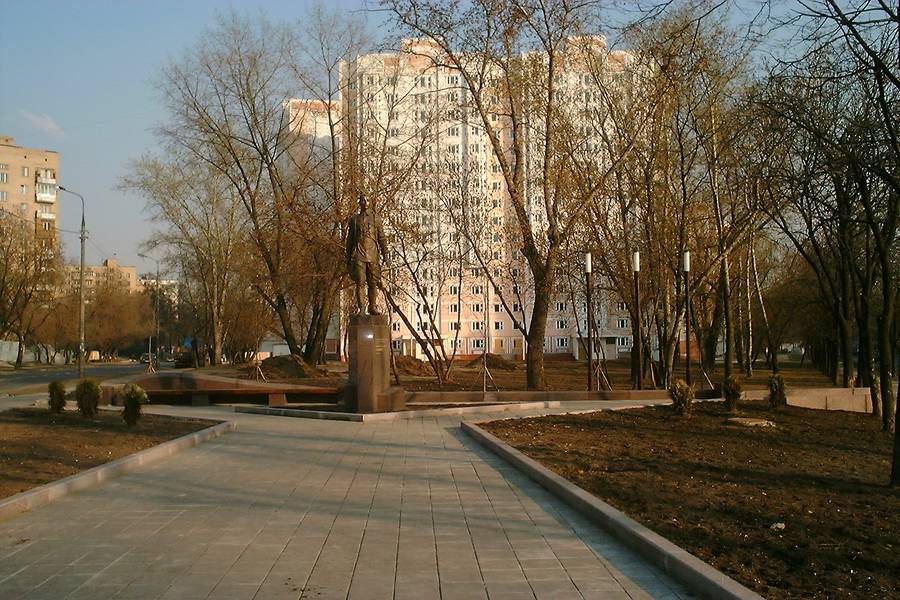 Portfolio Image