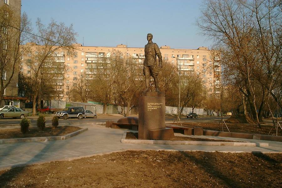 Portfolio Image
