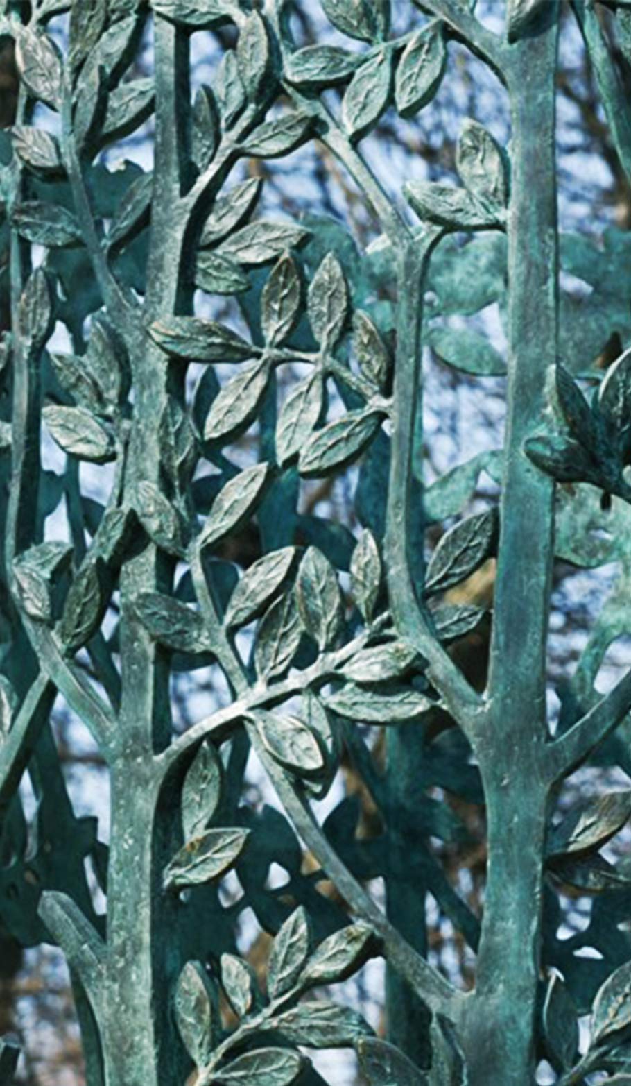 Portfolio Image
