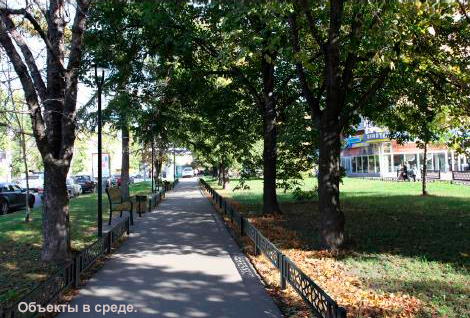 Portfolio Image